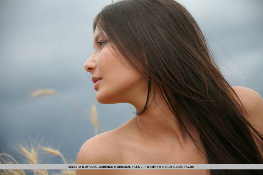 Brunette teen Selesta B models completely naked in a field of wheat - #6