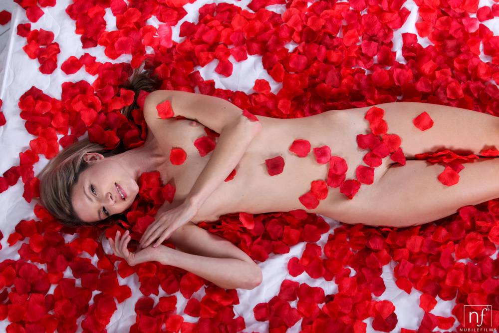 Slender blonde Gina Gerson has sex with a guy amid a lot of rose petals - #13
