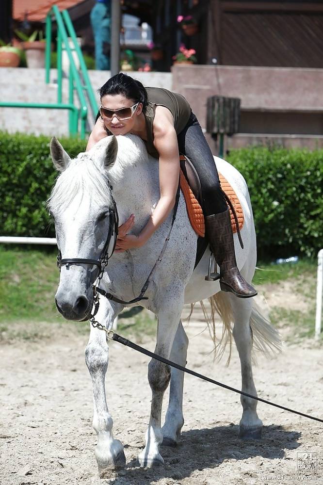 Pornstar Aletta Ocean is riding a horse outdoor in glasses - #2
