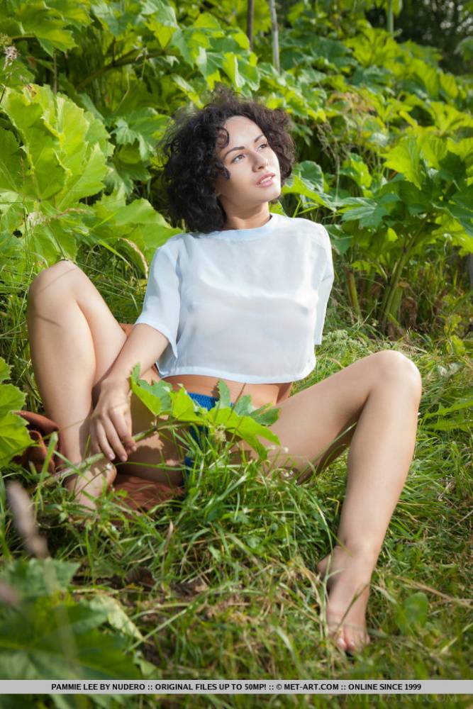 Solo girl with curly hair Pammie Lee bare her hot body amid greenery - #3
