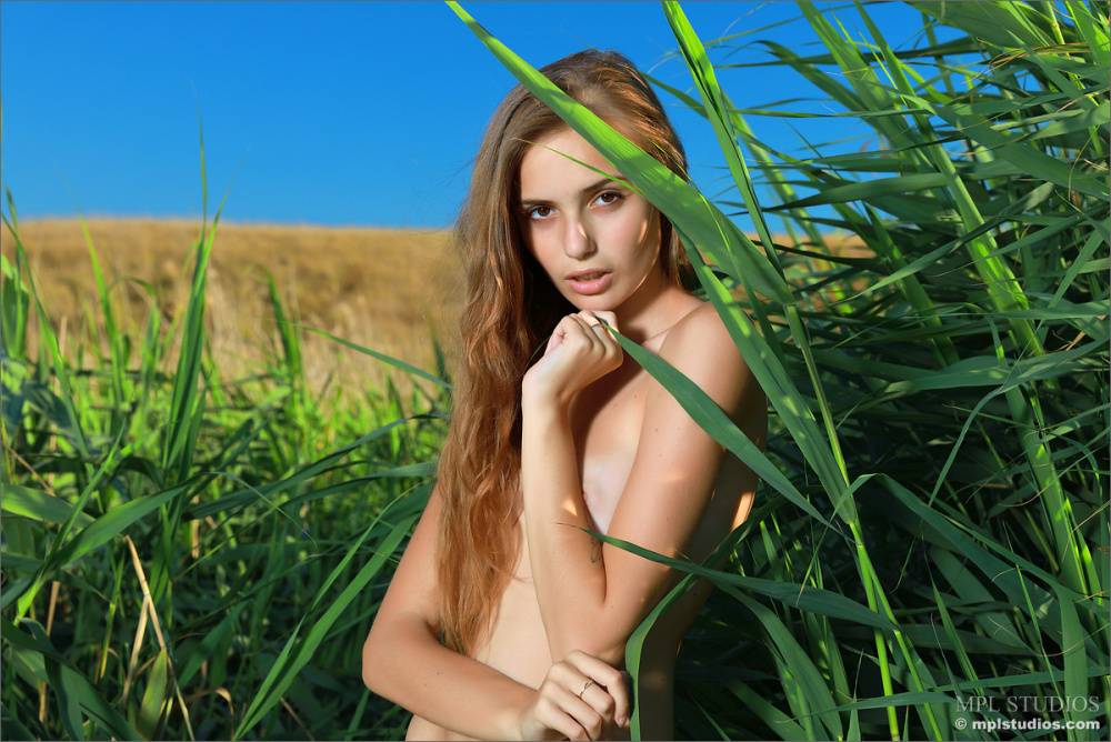 Leggy redhead slides panties aside to show her twat amid long grasses - #12