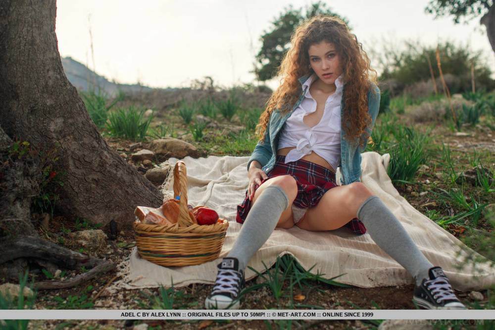 Leggy teen glamour babe Adel C modeling outdoors in knee socks and panties - #1