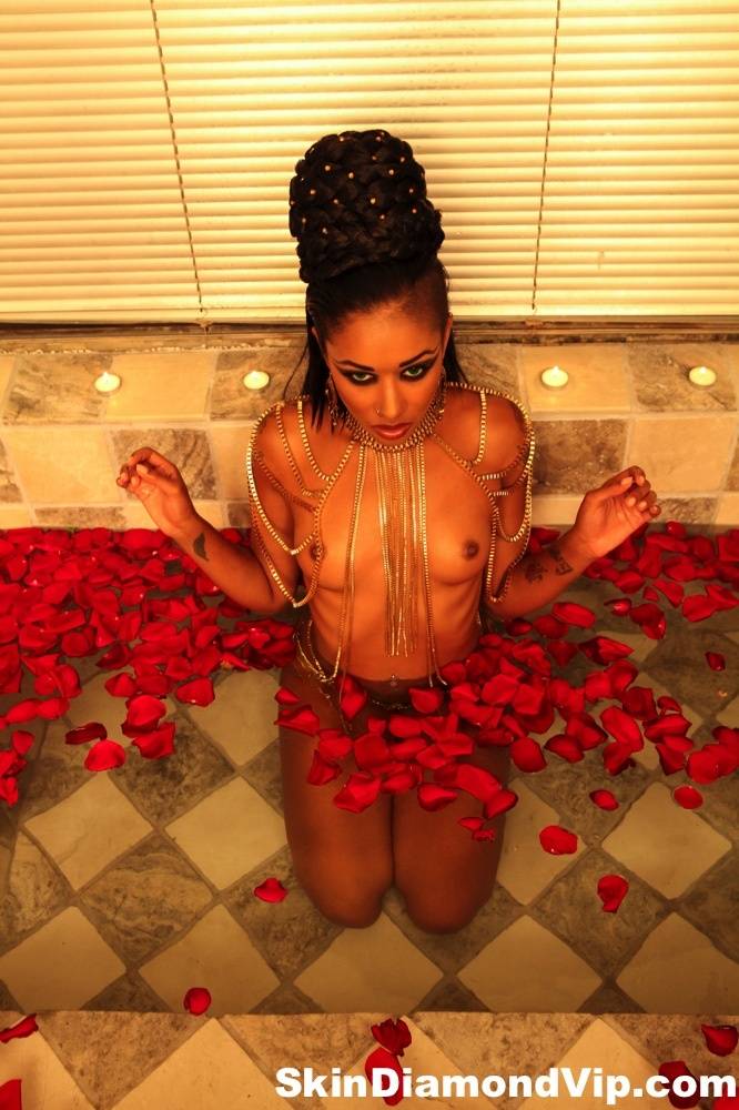 Black MILF Skin Diamond poses naked in bathtub full of red petals - #7