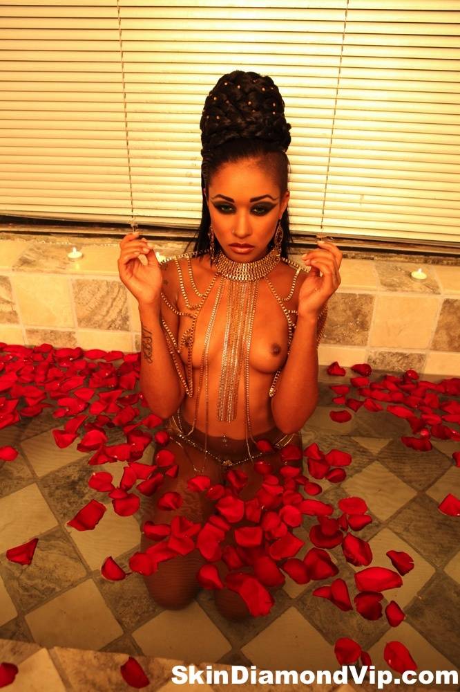 Black MILF Skin Diamond poses naked in bathtub full of red petals - #13