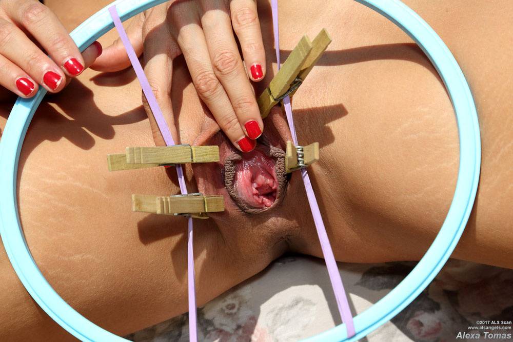 Horny chicks Alexa Tomas & Gina Gerson undress for some sunny lesbian fun - #9
