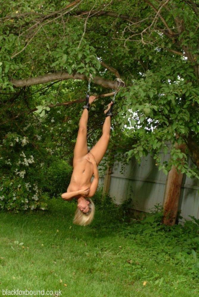 Naked blonde chick is hung upside down from a tree in handcuffs and ball gag - #14