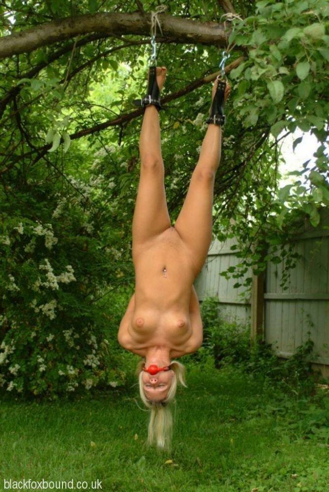Naked blonde chick is hung upside down from a tree in handcuffs and ball gag - #10