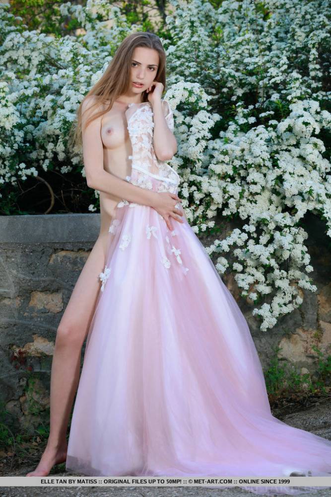 Beautiful girl Elle Tan slips off wedding dress to pose nude in garden - #9