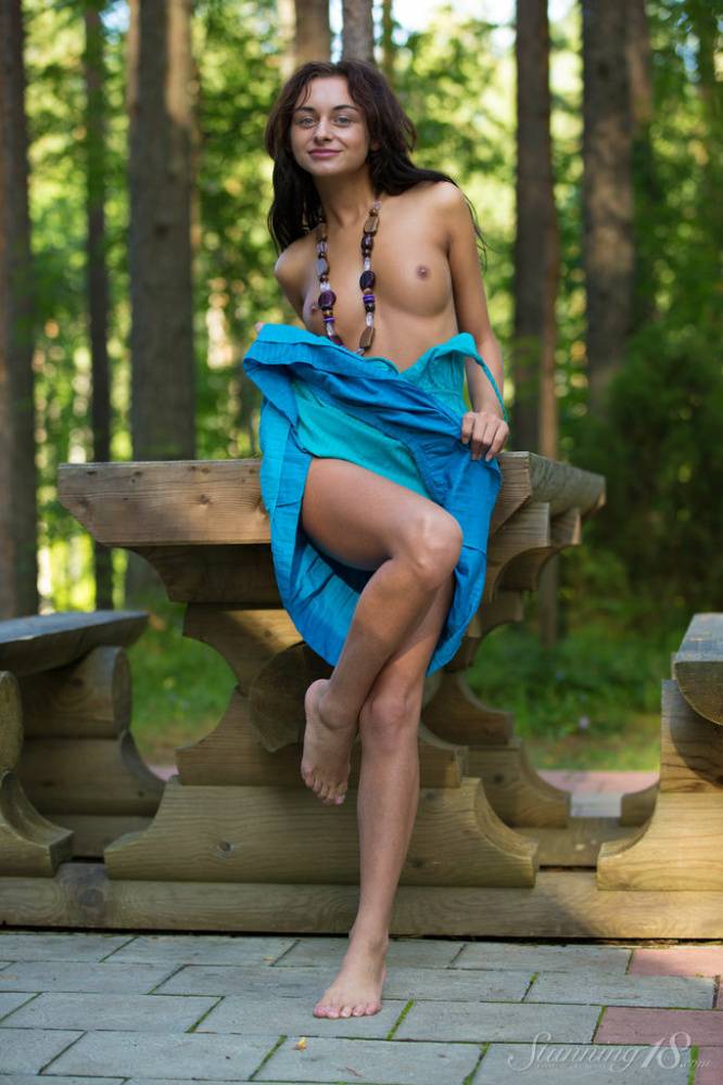 Barely legal model Dolores M slips off a dress to pose nude by a picnic table - #4