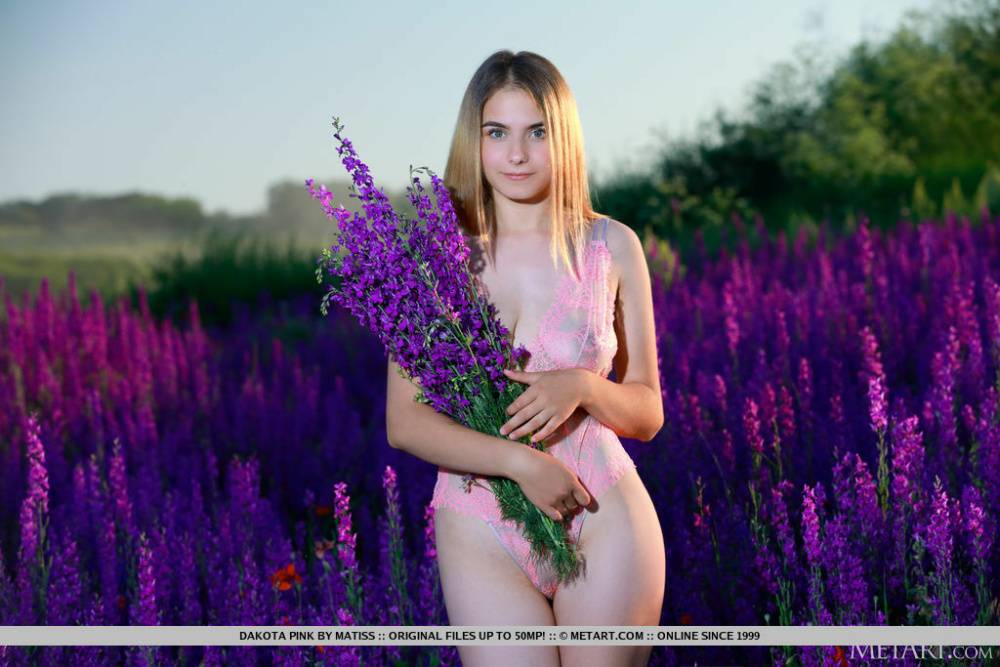 Young solo girl Dakota Pink displays her great body in a field of wildflowers - #7