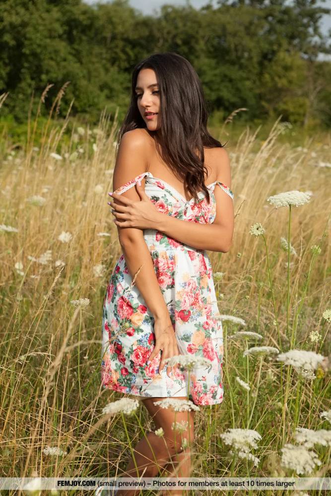 Slim brunette teen Elsa D poses naked in a field that's gone to seed - #7