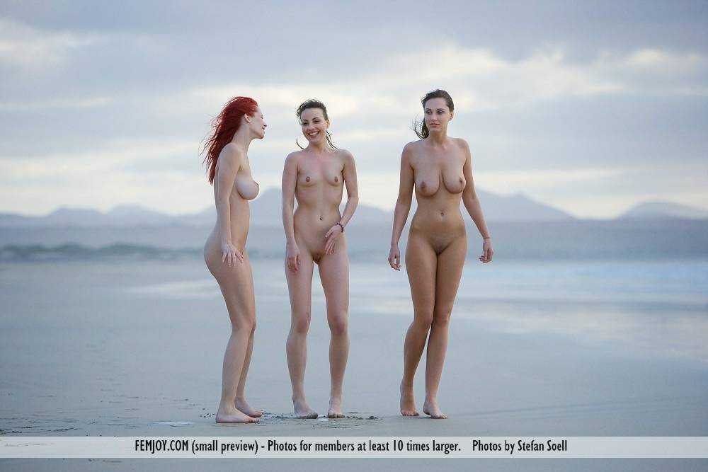 Threesome of hot beach bunnies petting and hugging naked in the wet sand - #3