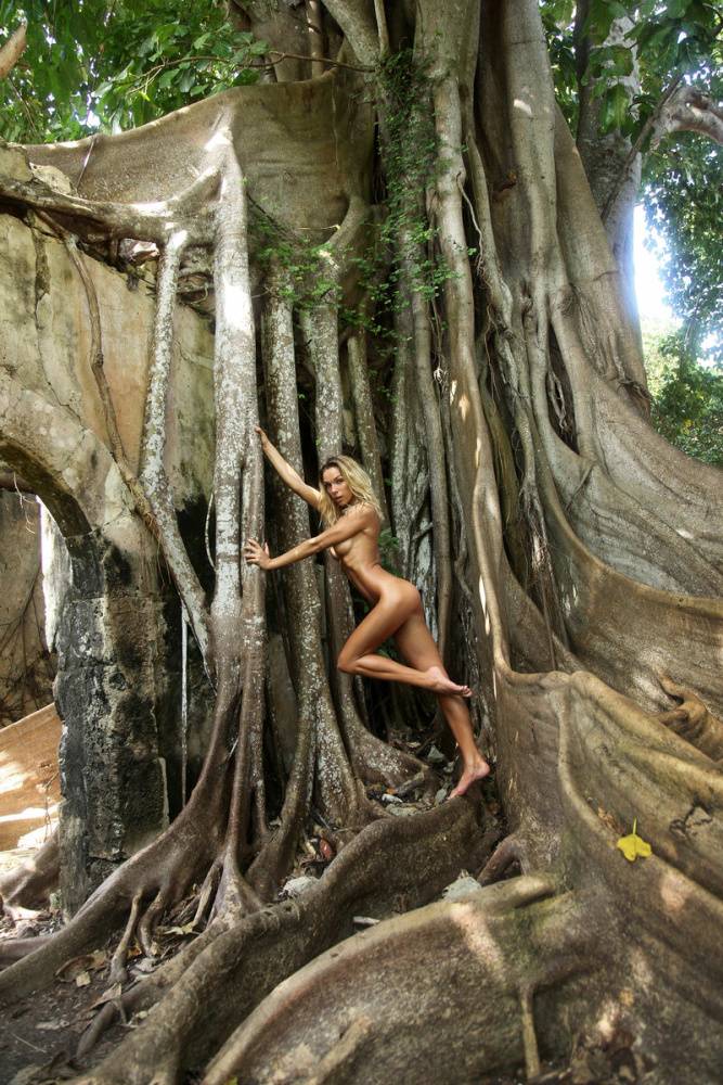 Totally naked blonde Amber A models on the roots of an ancient tree - #1