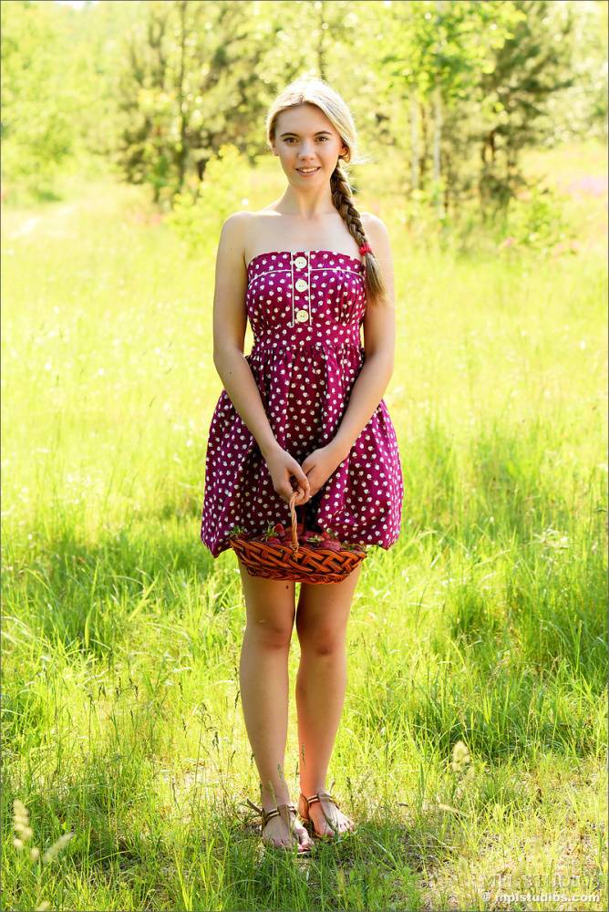 Blonde girl next door removes her sun dress to pose nude in a meadow - #11