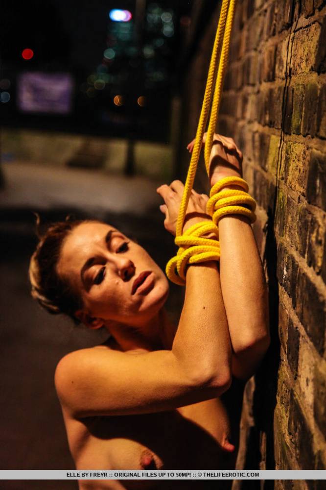 Naked teen is restrained to a brick wall with yellow rope at night - #8