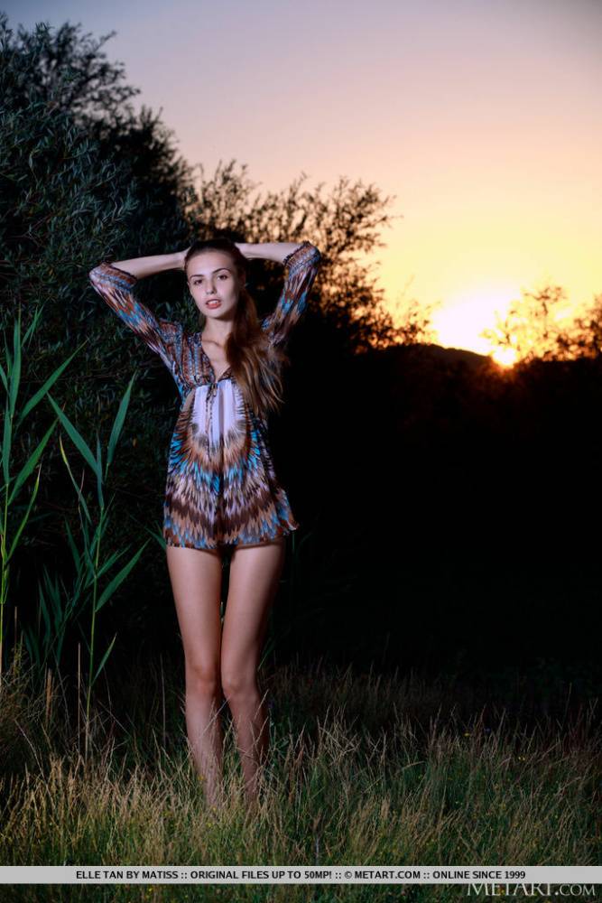 Slim teen Elle Tan gets bare naked outdoors as she the sun fades from the sky - #9