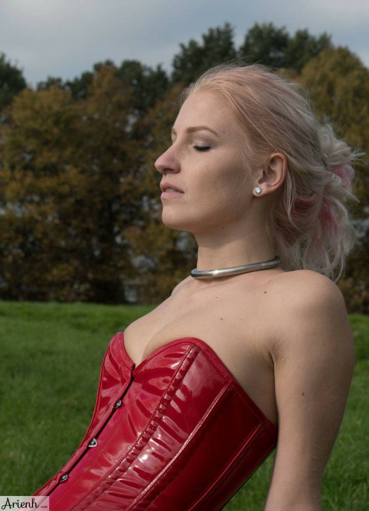 Collared girl Arienh Autumn models a red leather corset while in a field - #8