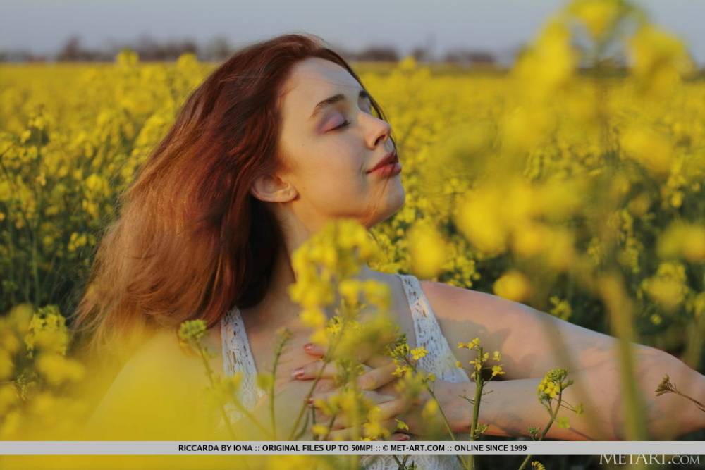 Young redhead Riccarda models in a mustard field before getting naked - #16