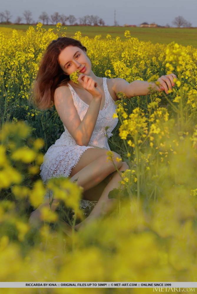 Young redhead Riccarda models in a mustard field before getting naked - #14