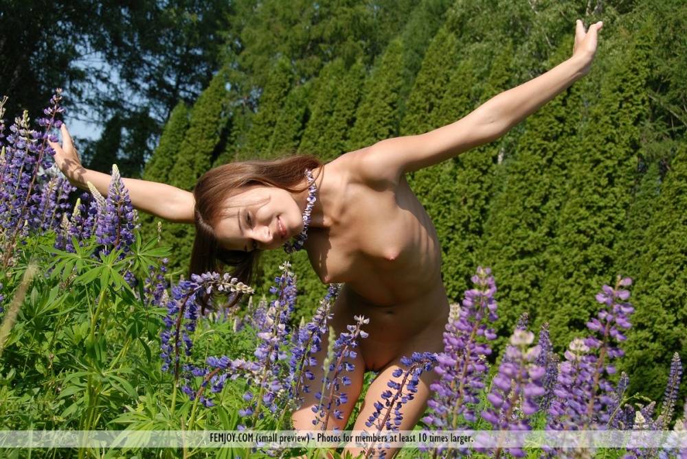 Completely naked teen Nikki D covers herself with petals from wildflowers - #2