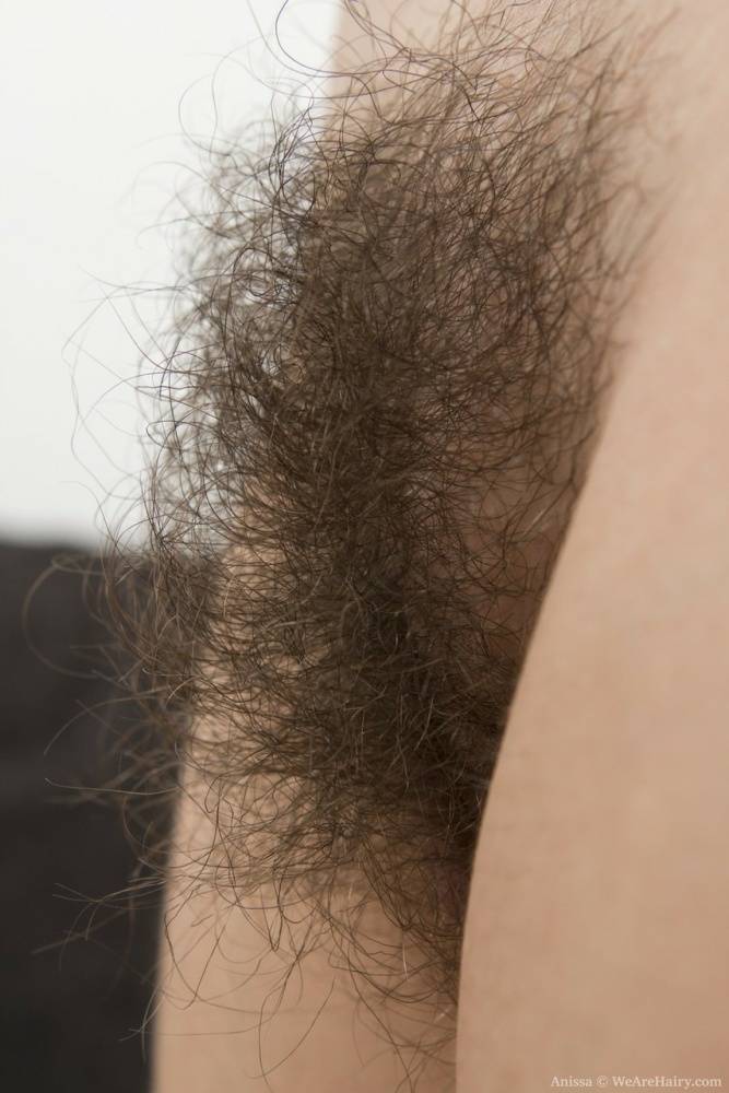 Young first timer with black hair wears a smile while unveiling her hairy bush - #2