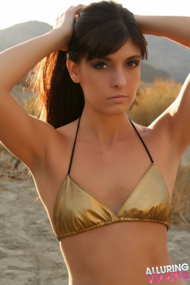 Solo girl Vixen Courtney models outdoors for a SFW in Arabian Princess attire - #1