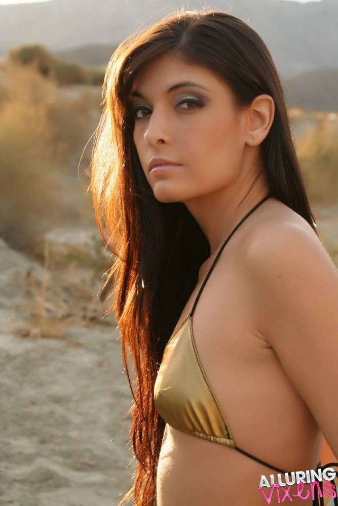 Solo girl Vixen Courtney models outdoors for a SFW in Arabian Princess attire - #4