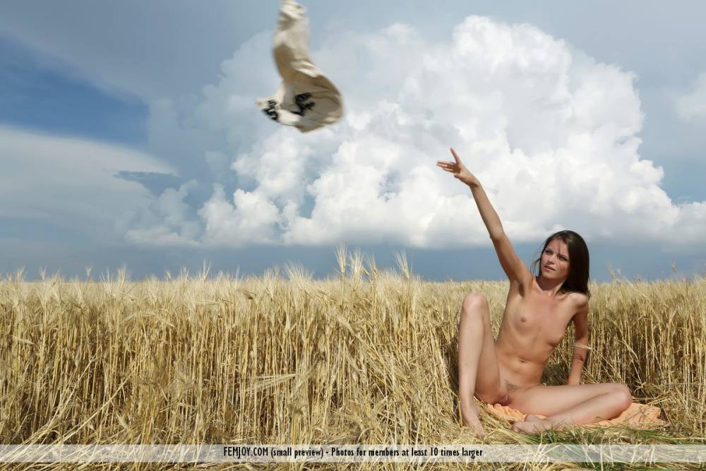 Beautiful teen Sonya D poses totally nude in a field of wheat - #10