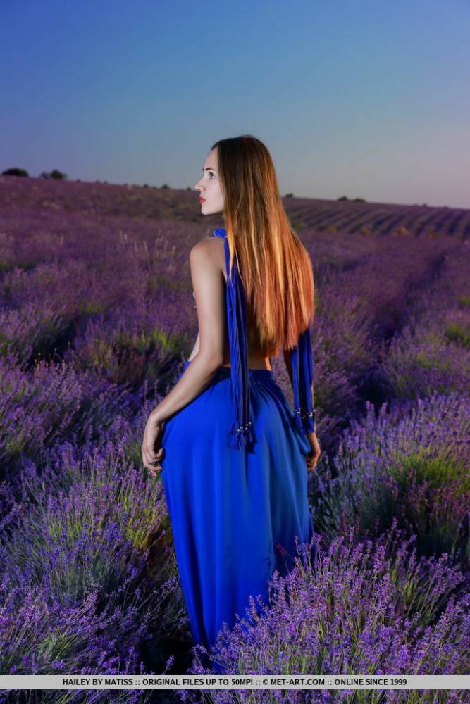 Nice young girl Hailey gets totally naked in a field of lavender at sunset - #3