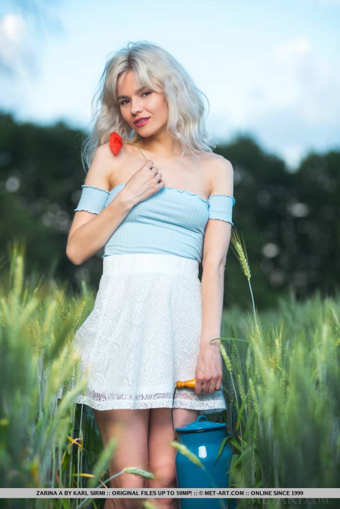 Platinum blonde teen Zarina A gets naked while in a hay field - #14