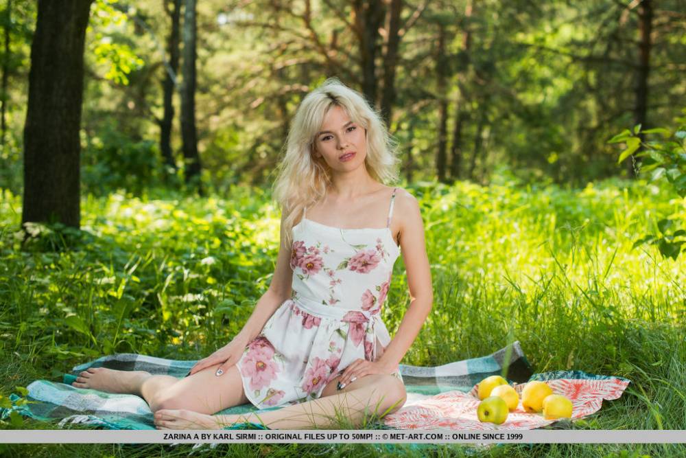 Blonde teen Zarina A gets completely naked on a blanket in a forest - #3