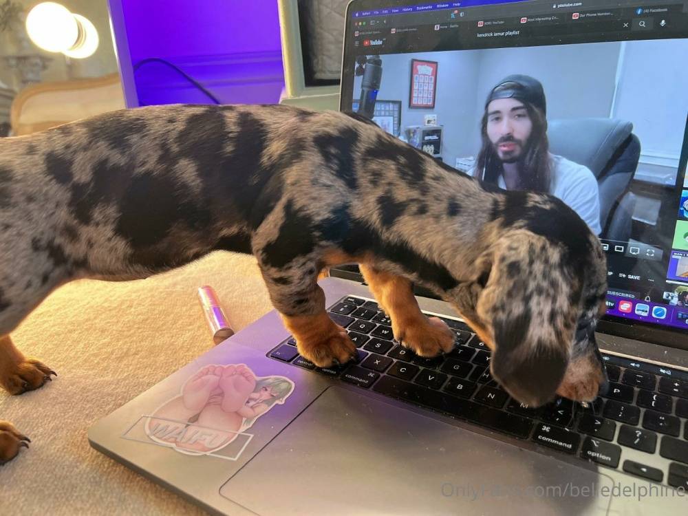 Belle Delphine And Puppy Onlyfans Set Leaked - #4