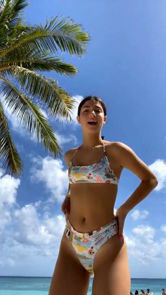 Charli D 19Amelio Sexy Beach Bikini Dance Video Leaked - #3