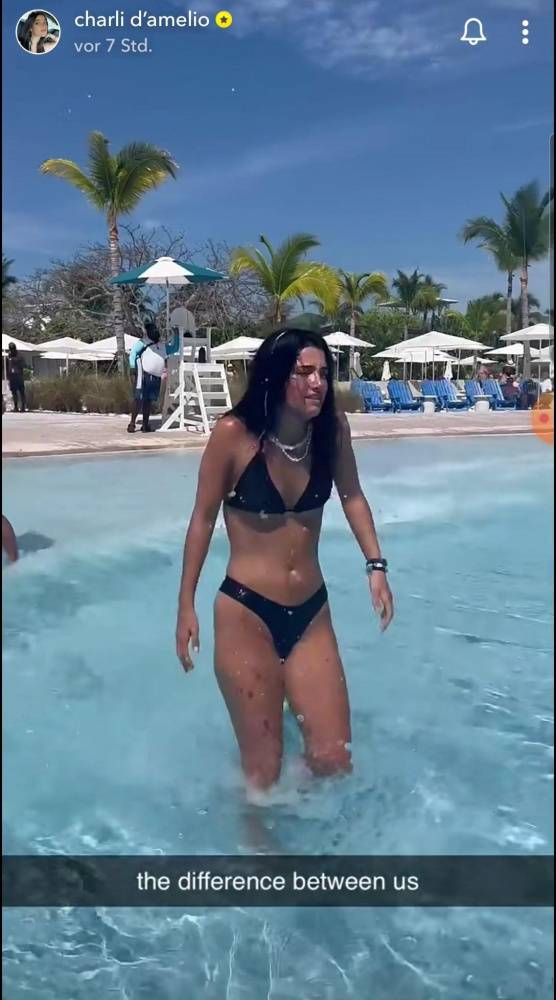 Charli D 19Amelio Bikini Wave Pool Video Leaked - #7
