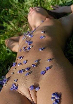 Completely naked teen Nikki D covers herself with petals from wildflowers - #main